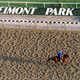 Illustration for article titled Someday Belmont: The Making Of A Race Horse